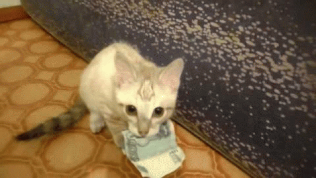 у тебя доброе сердце? лучше не читай дальше