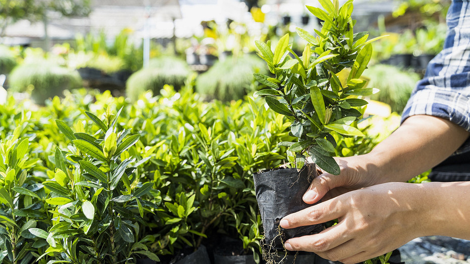     Источник здесь и далее: freepik.com