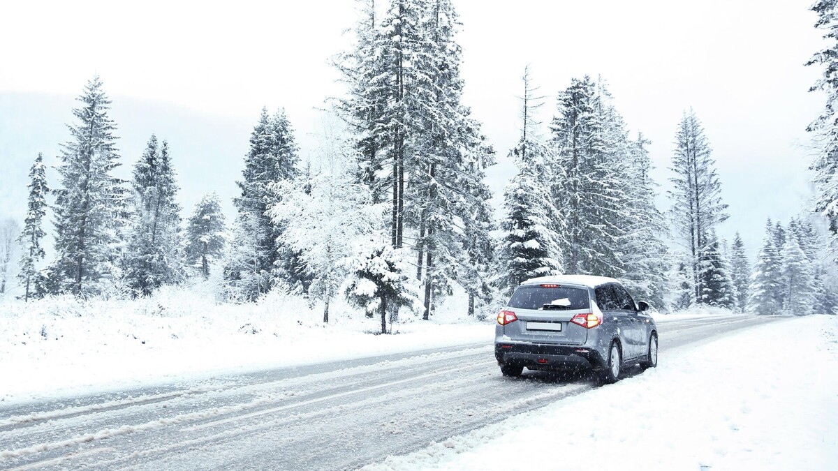 Фото: РИА Новости