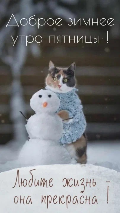 Фото из сети Интернет