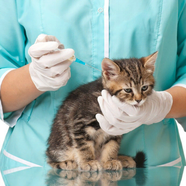 Источник: Яндекс.