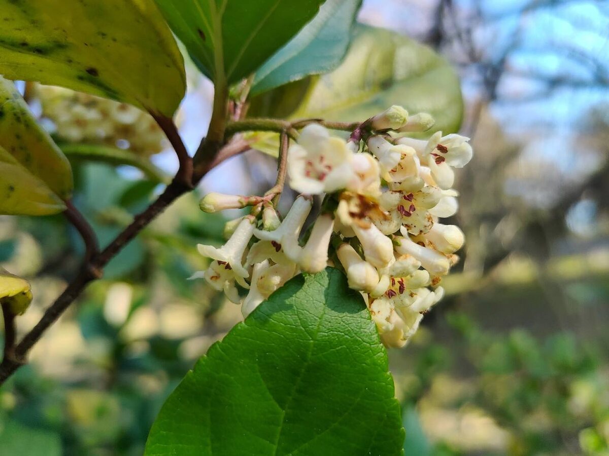    Фото: Галина Солтани (страница Вконтакте)