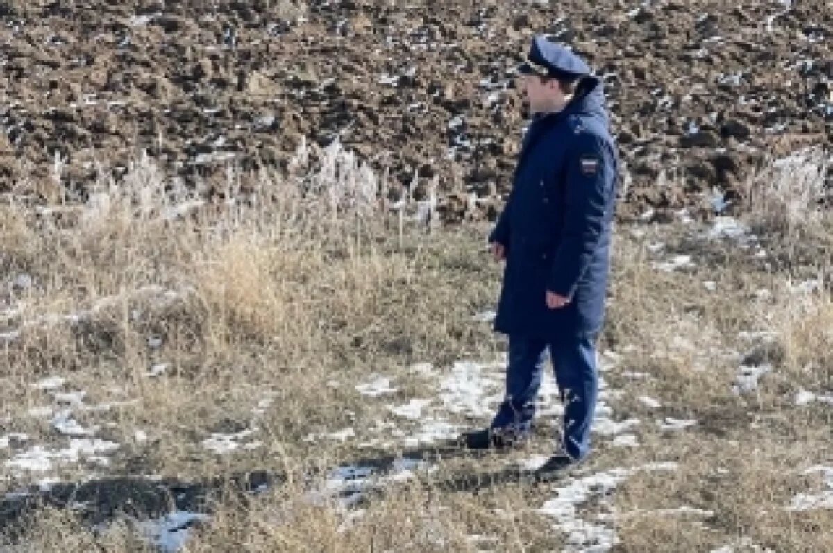    Бесхозные останки бойцов ВОВ обнаружили в Волгоградской области