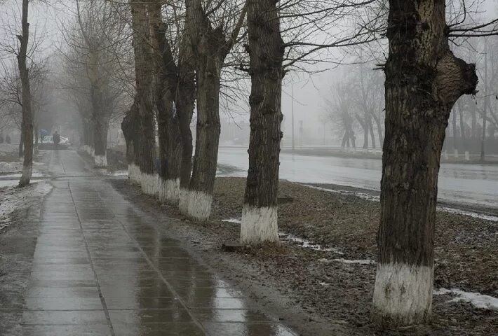 фото из интернета