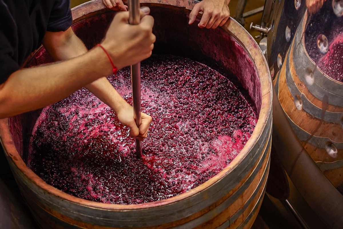 приготовление вина