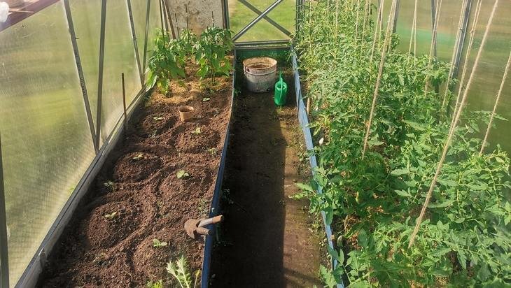    Компостная комбинация: тройка без единого гвоздя и непрерывное производство органических удобрений