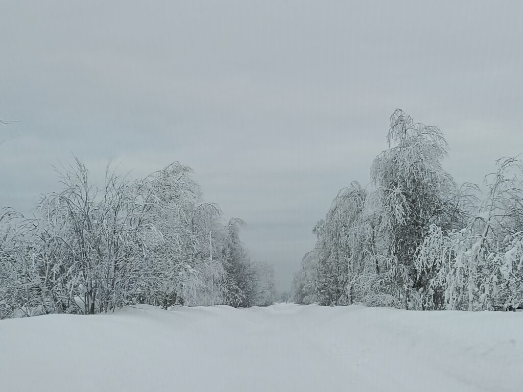    Фото: Ульяна Бажанова Ульяна Бажанова