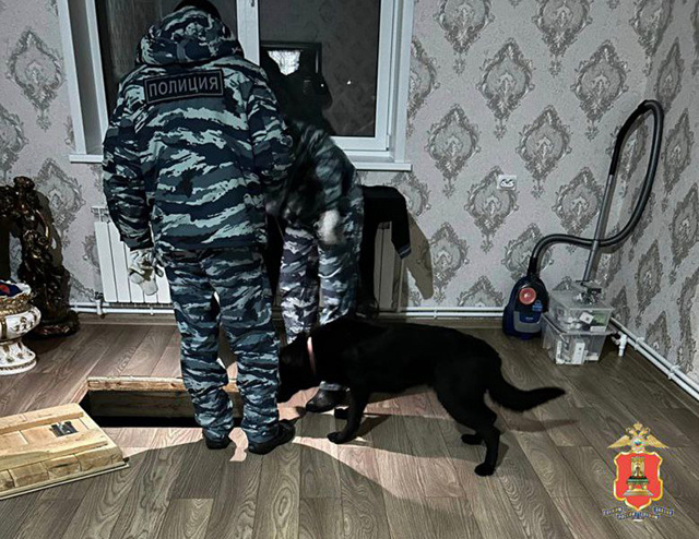 В Тверской области полиция и Росгвардия провели обыски у цыган в Нелидово