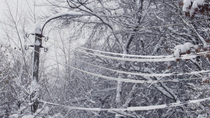    ГУ МЧС России по Краснодарскому краю