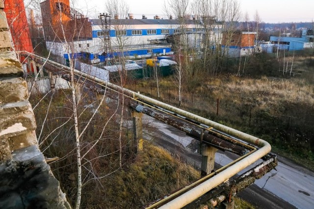   Фото из архива Калининград.Ru