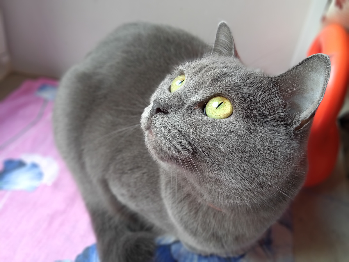 Моя малышка