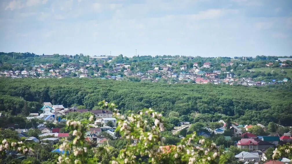     Источник: 1MI