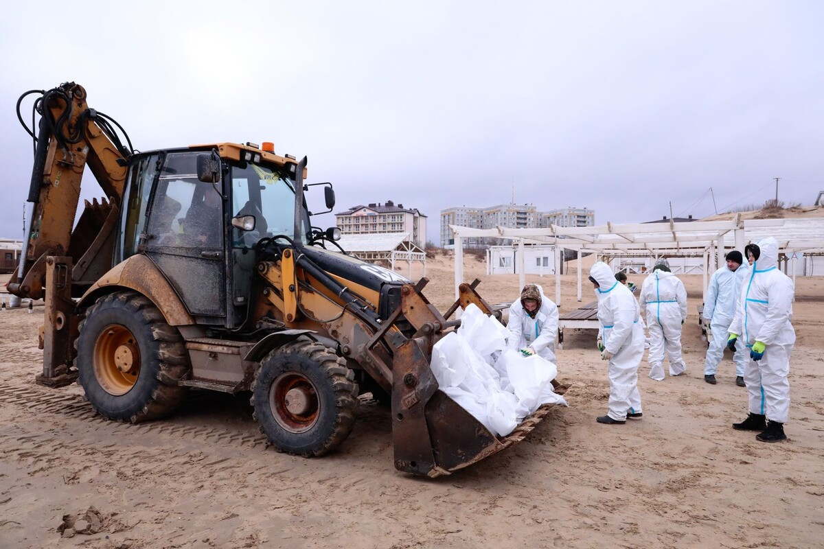     / Источник: © Roman Naumov/Global Look Press