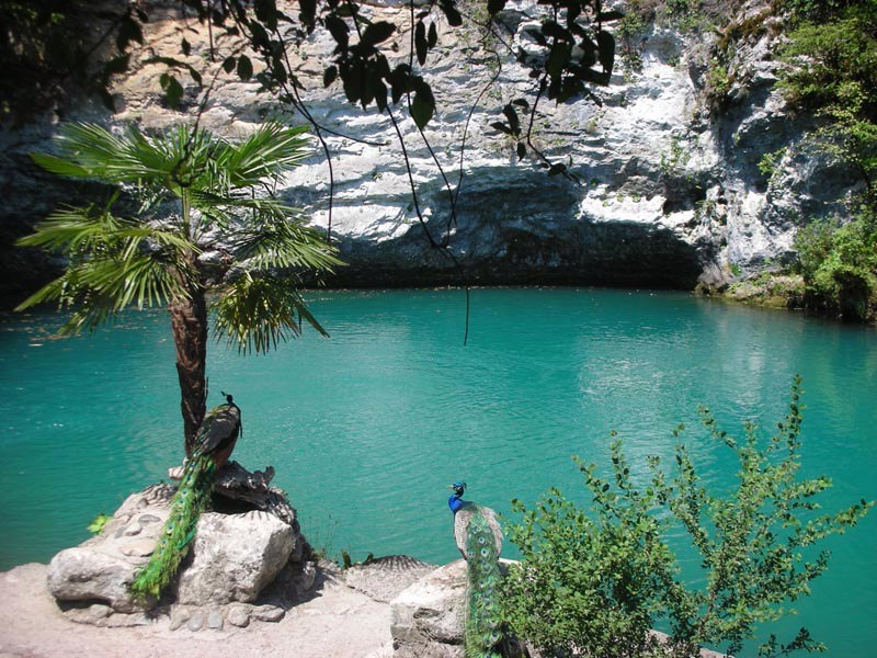 открытый доступ