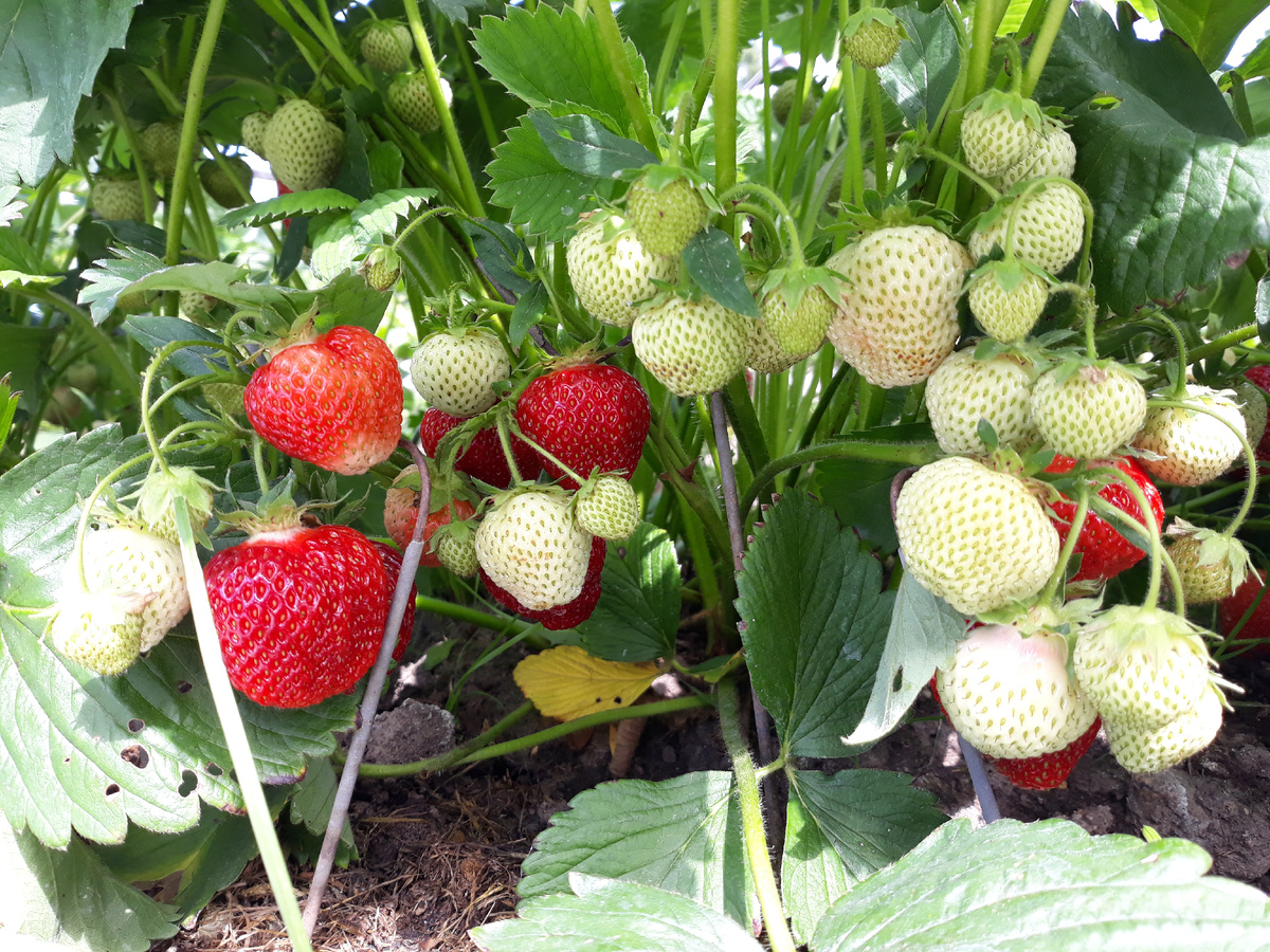 фото автора из личного архива.