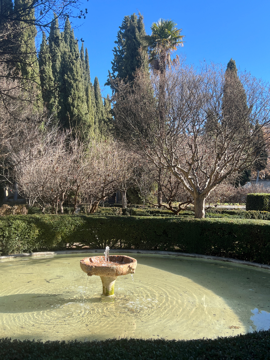 Куарто-Реаль-де-Санто-Доминго, сад. Гранада, Испания. Фото автора