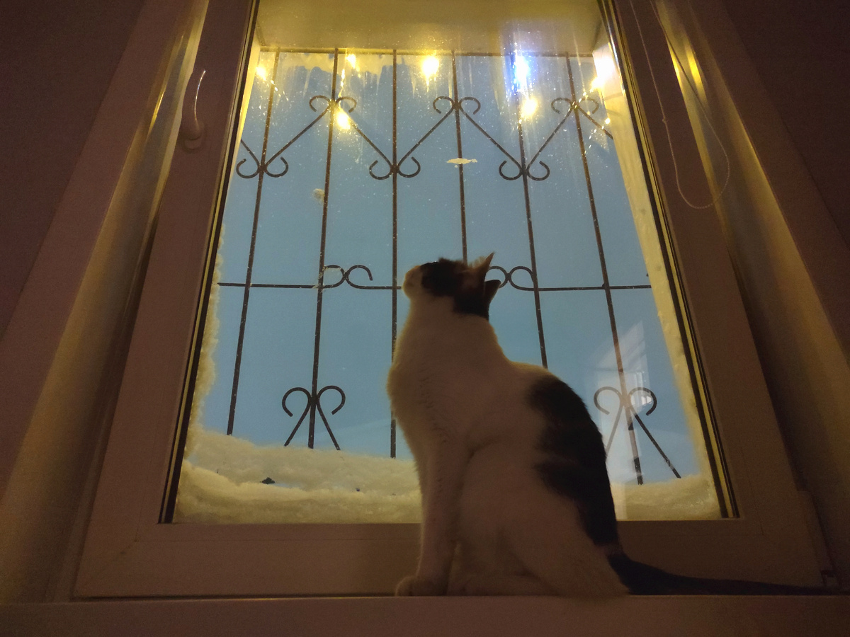 Куда вот он смотрит? Я придумала себе, что он мысленно обращается к Шурику