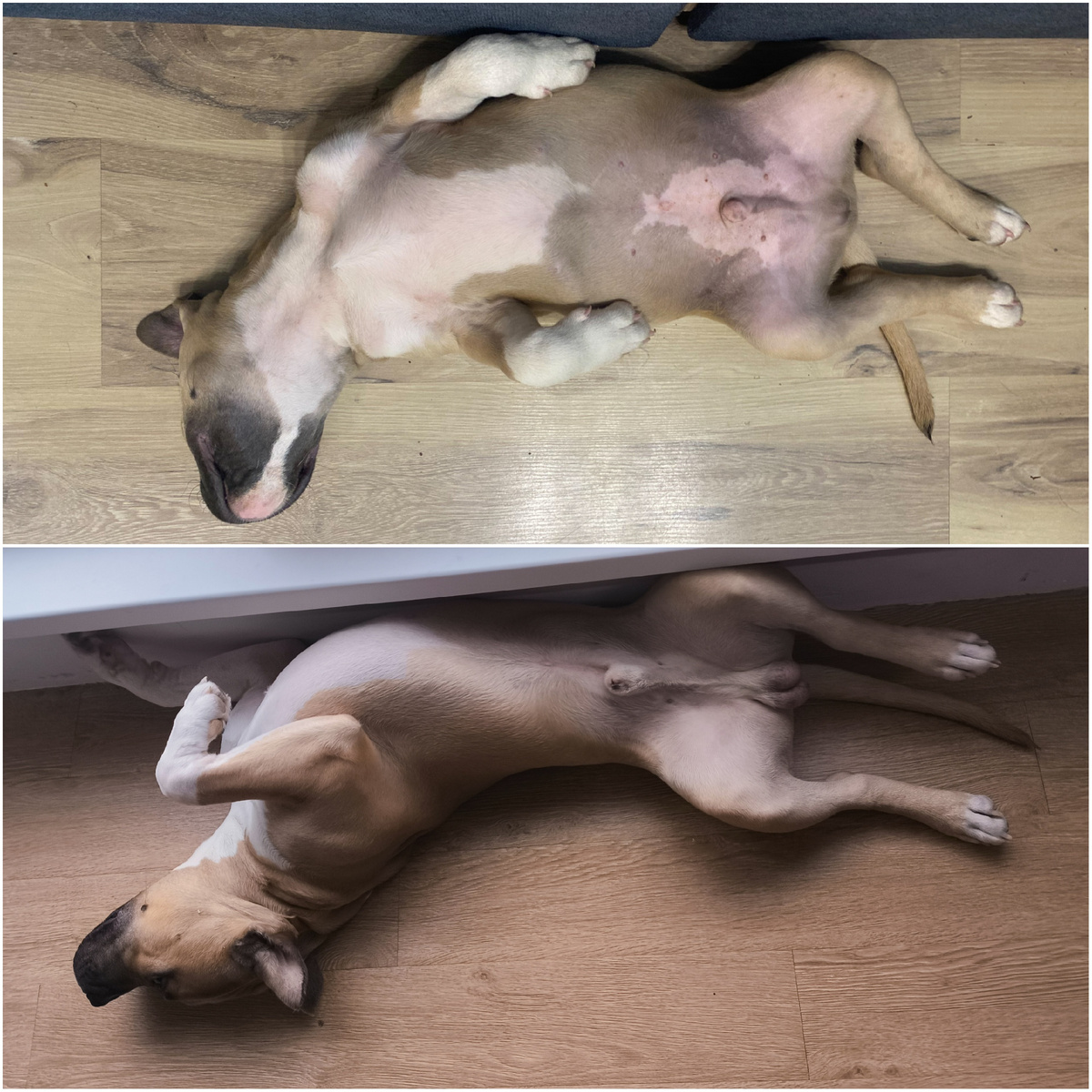 Подрос, а спит всё так же