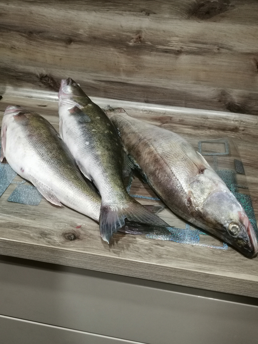 Обской на переработку..