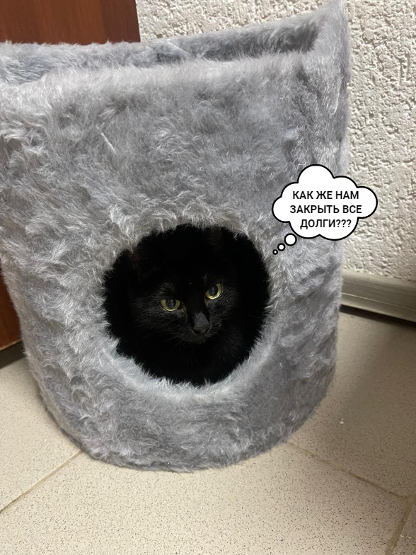 Агнешка очень переживает