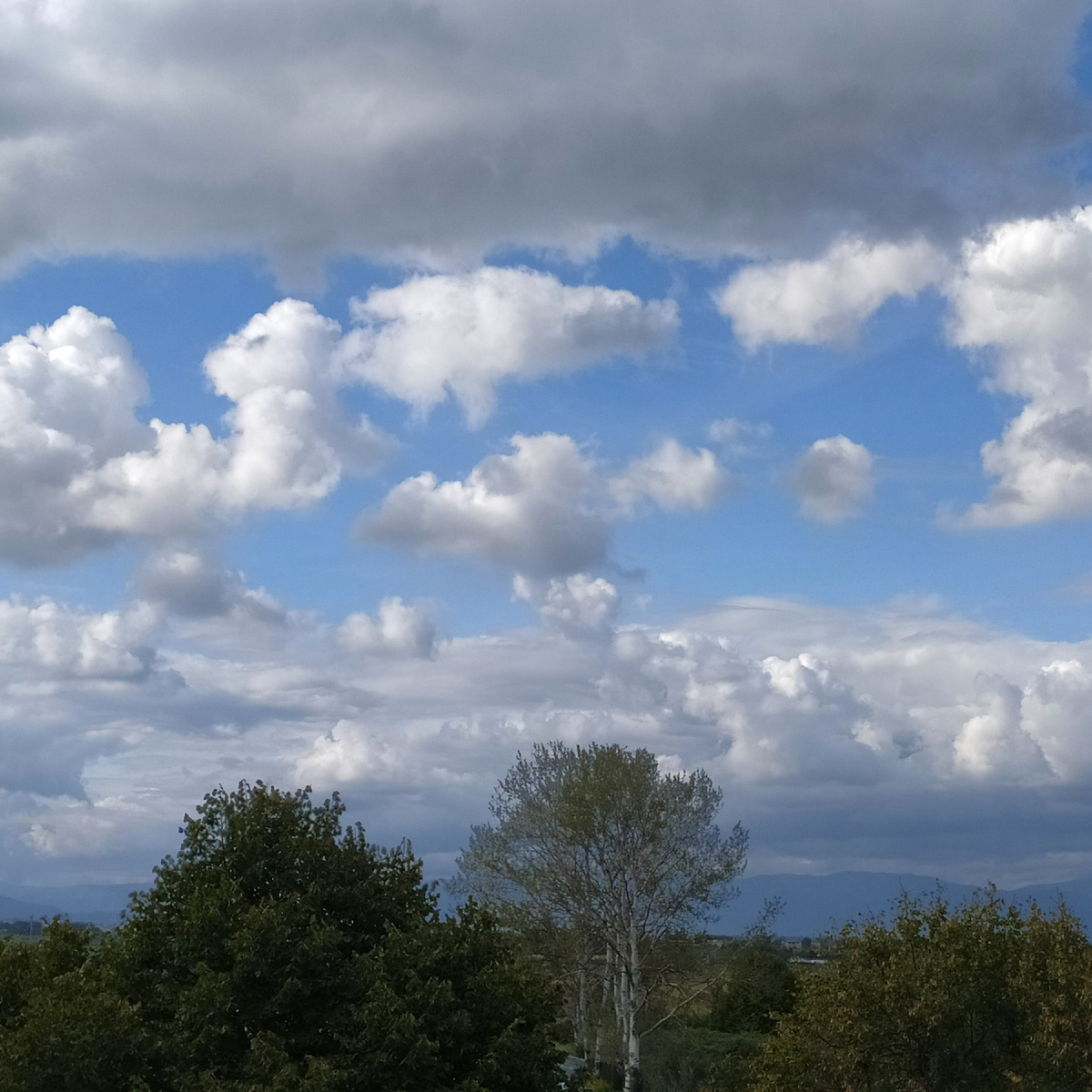 фото автора,