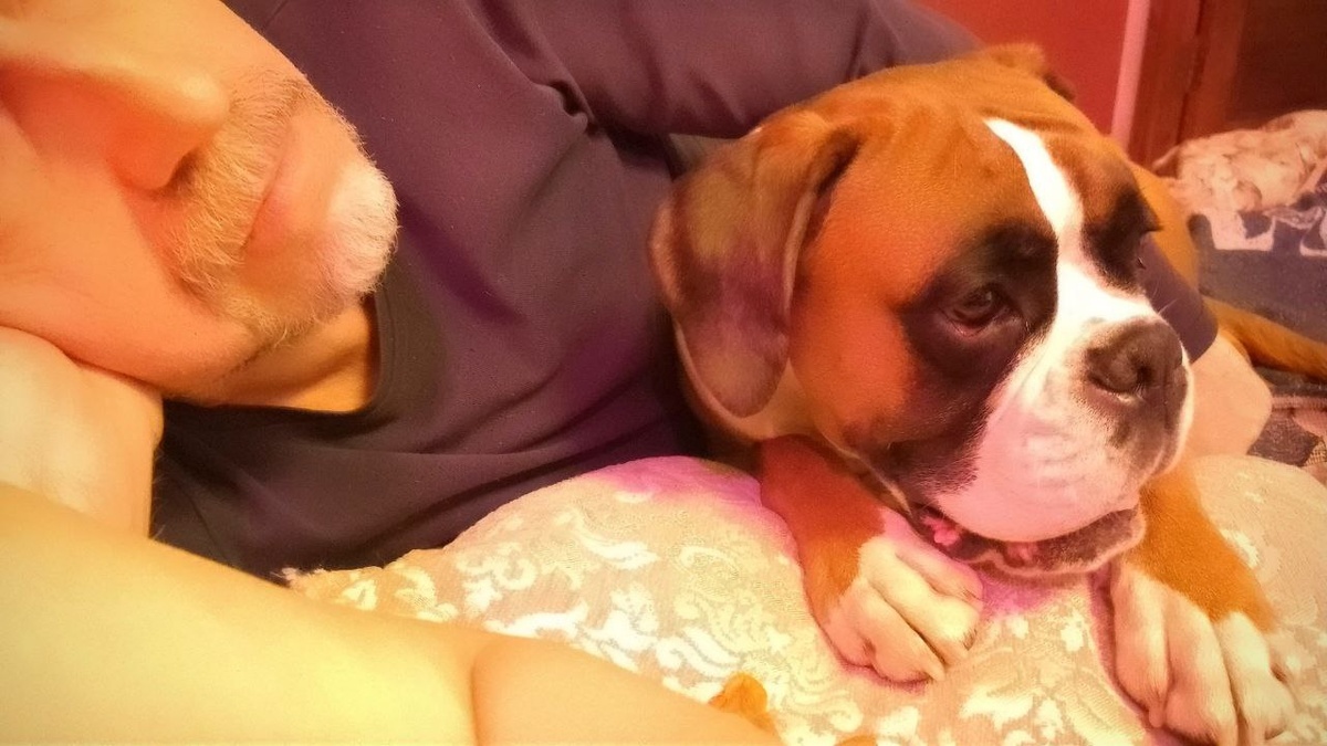 Пять минут назад рядышком со мной