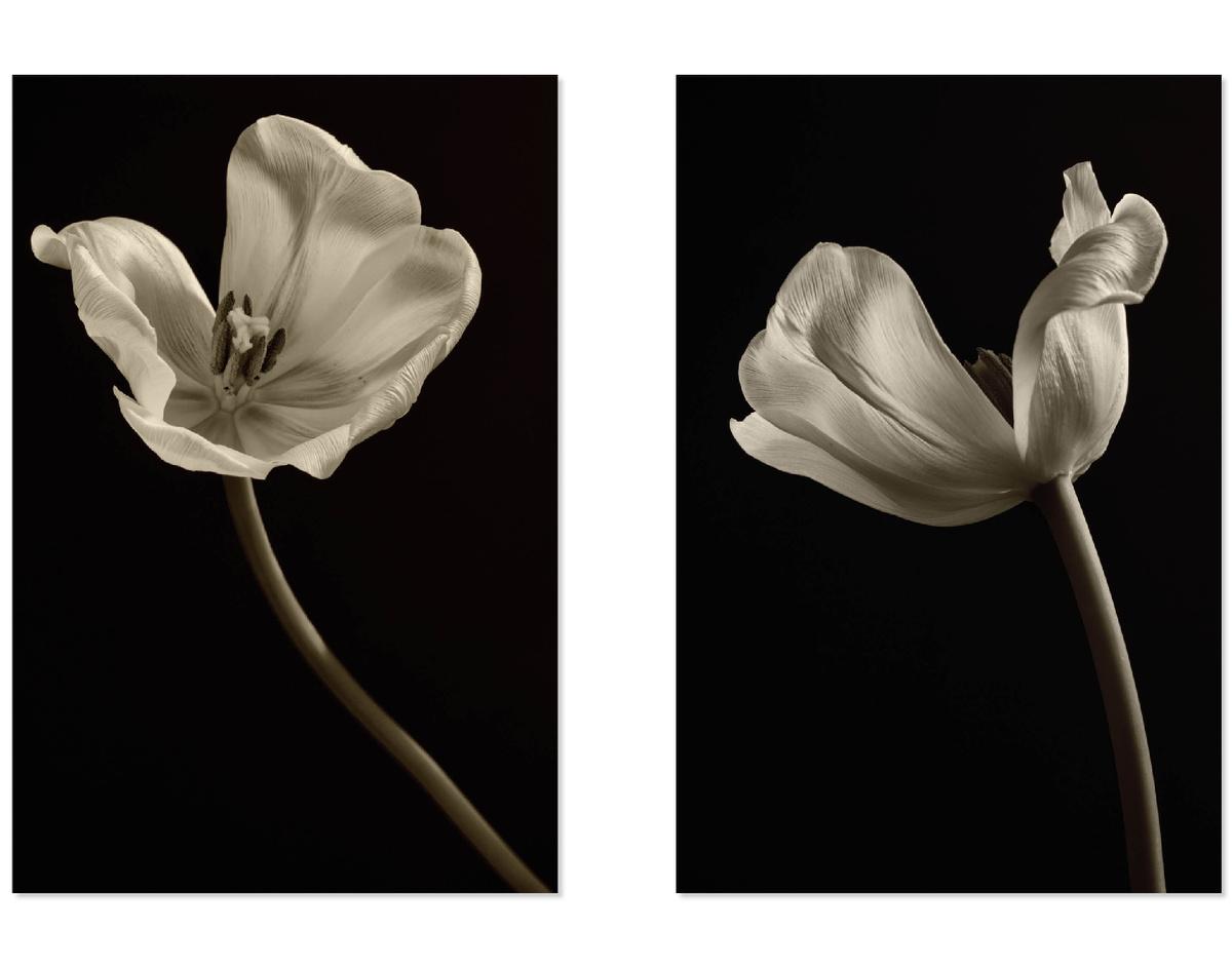 Серия работ в одной цветовой палитре. Фото: Ирина Бородина