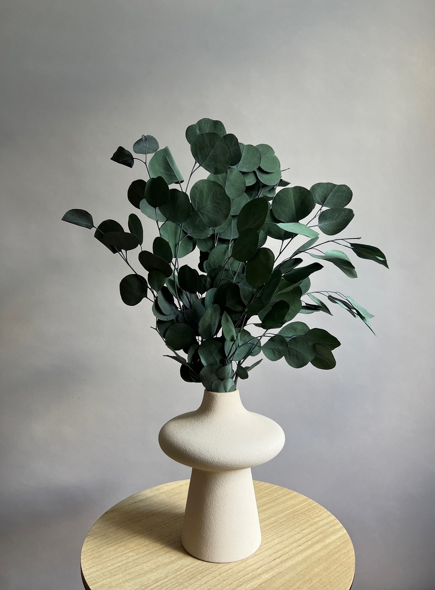 Популус стабилизированный зеленый