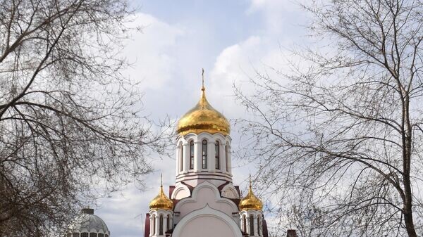    © Sputnik / Максим Богодвид