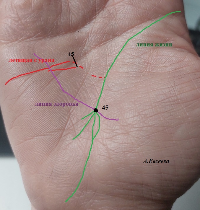 Фото их личного архива