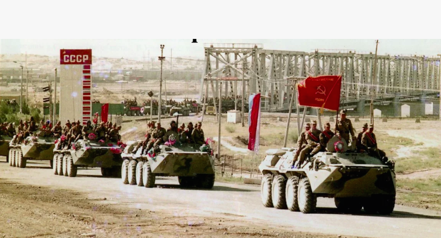 фото из интернета.