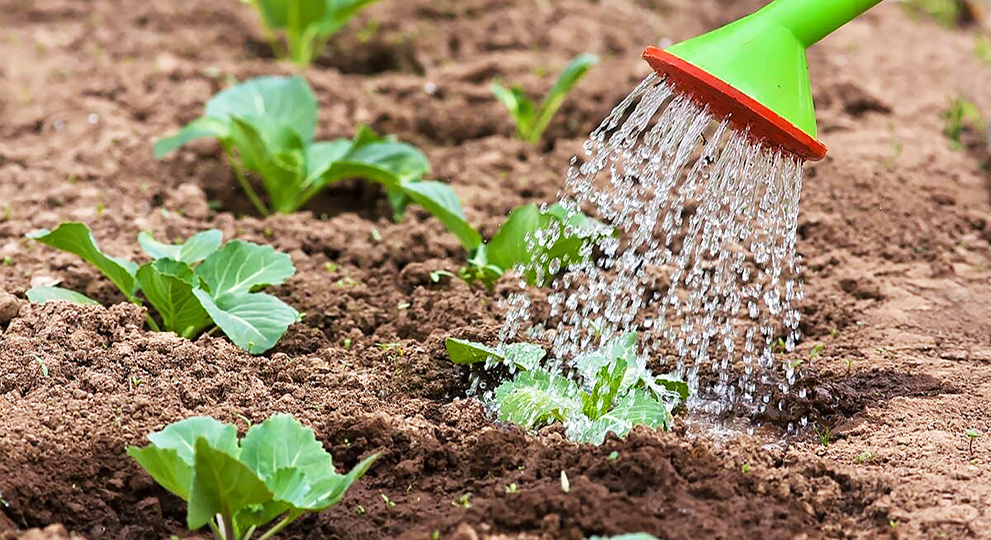 Фото: просторы интернета, Яндекс Картинки