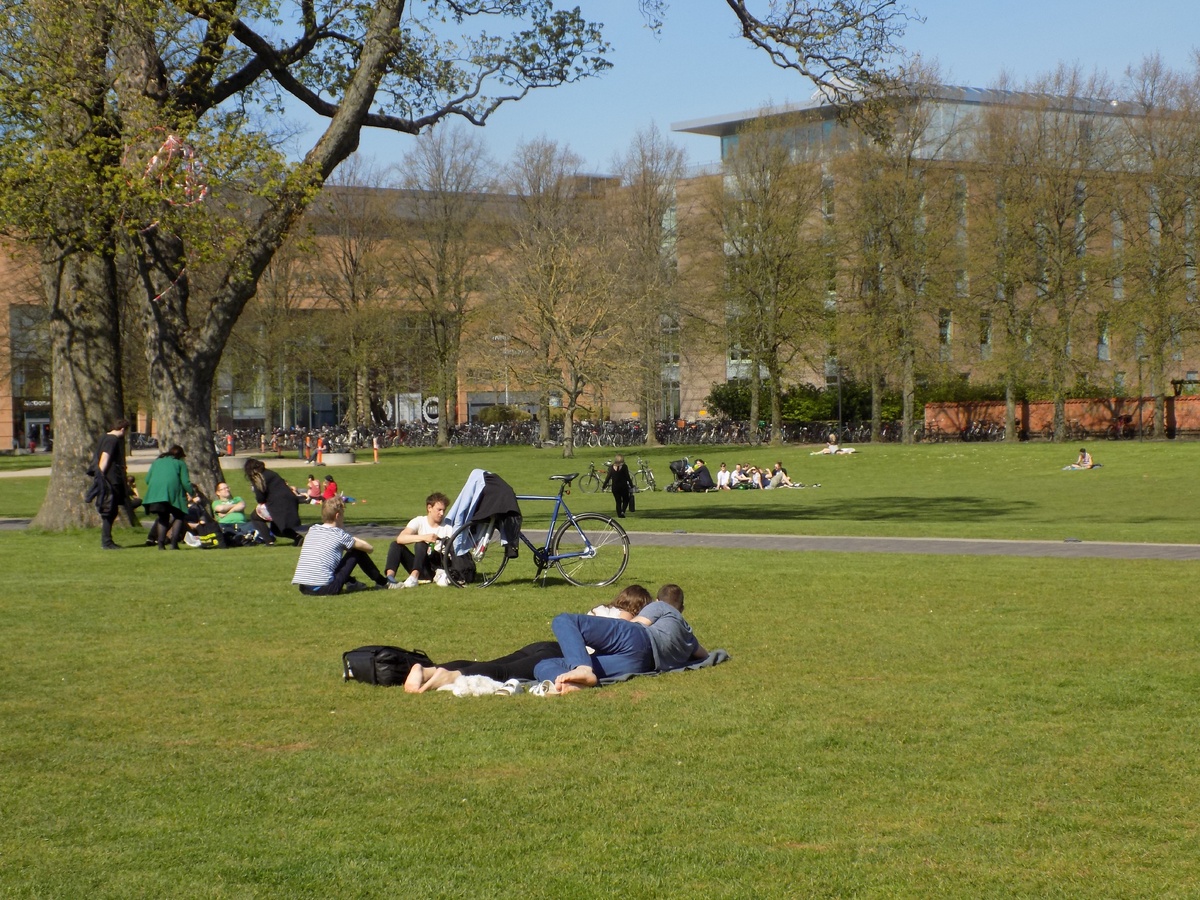 Лежат и стоят