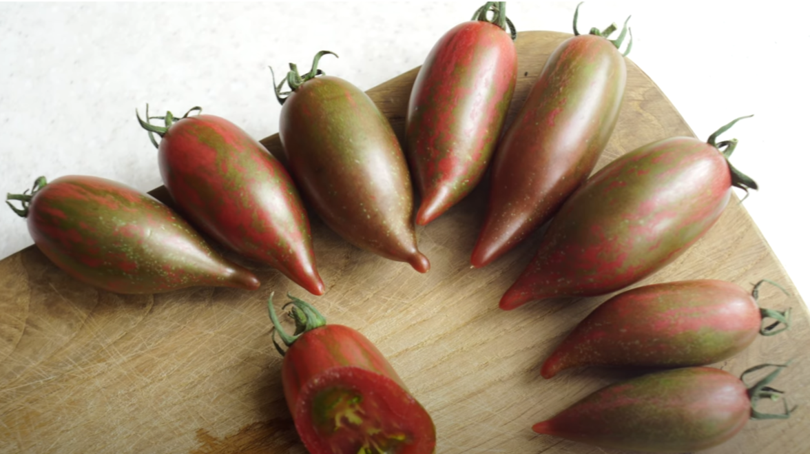 Фото из Соц. сетей.