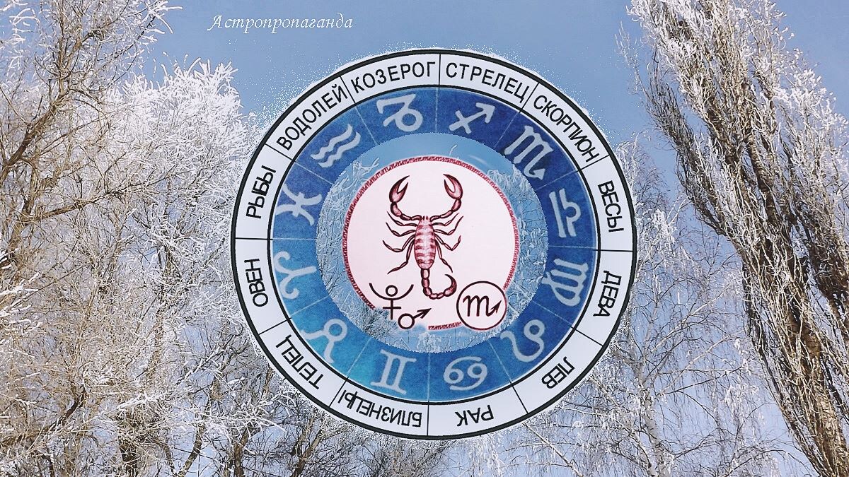 Гороскоп для Скорпиона на февраль 2025. 