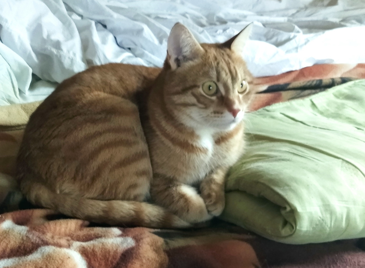 Личное фото.