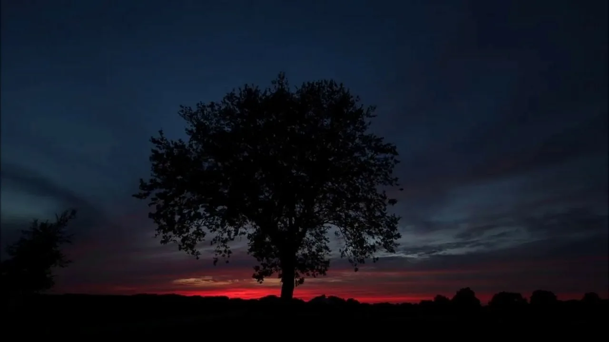 Источник: https://avatars.mds.yandex.net/