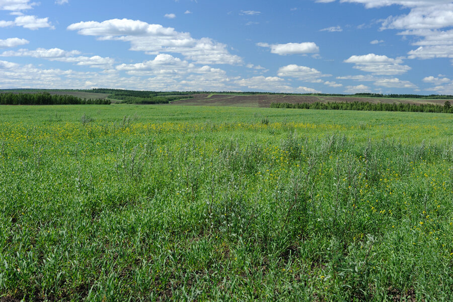 Амгинские просторы.