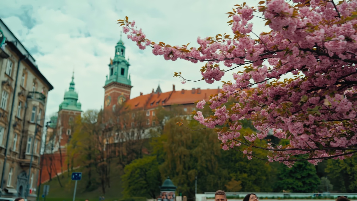 Расцветает Краков.