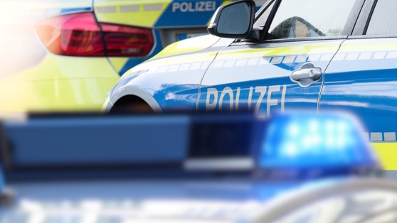    Подозреваемого в наезде на демонстрантов в Мюнхене арестовали Виктория Шварц