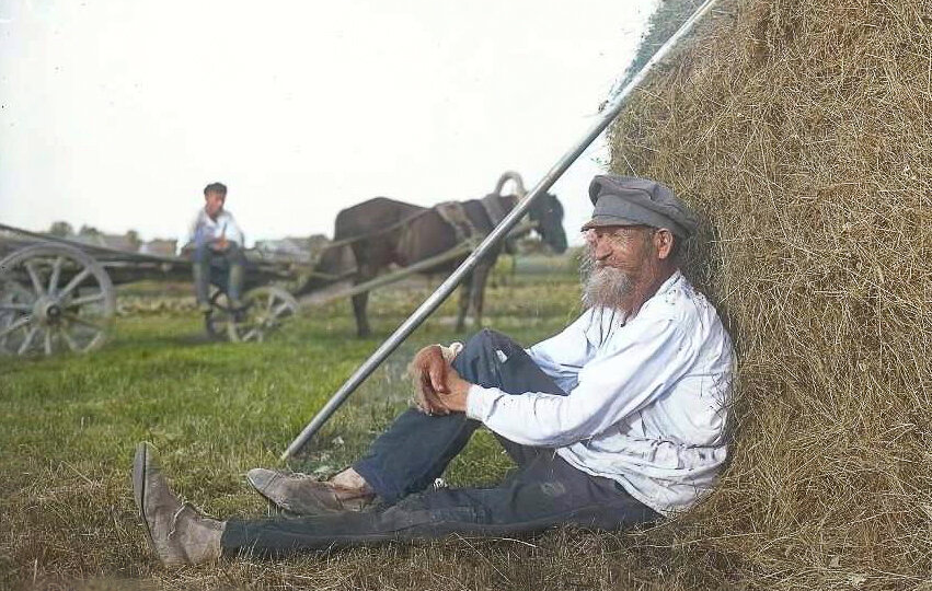 Названия наших деревень. Сенокос