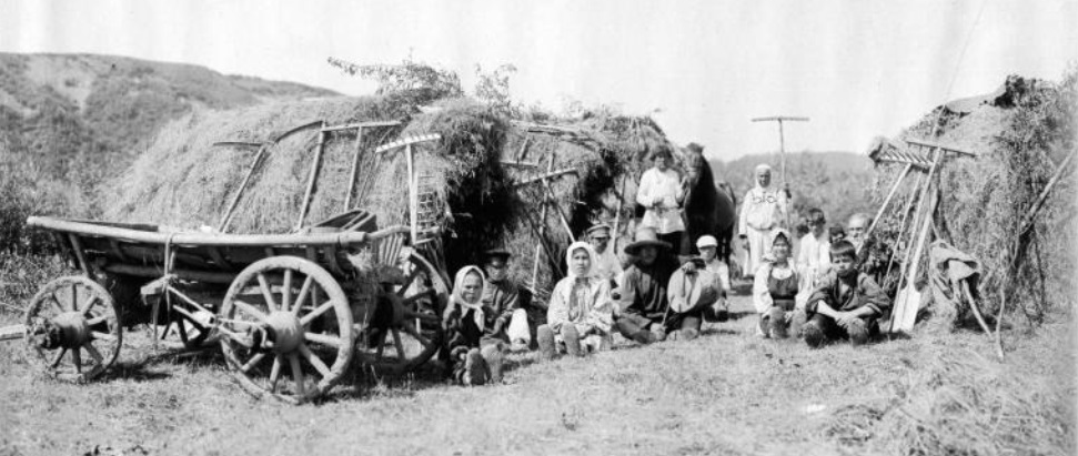 На дальних покосах