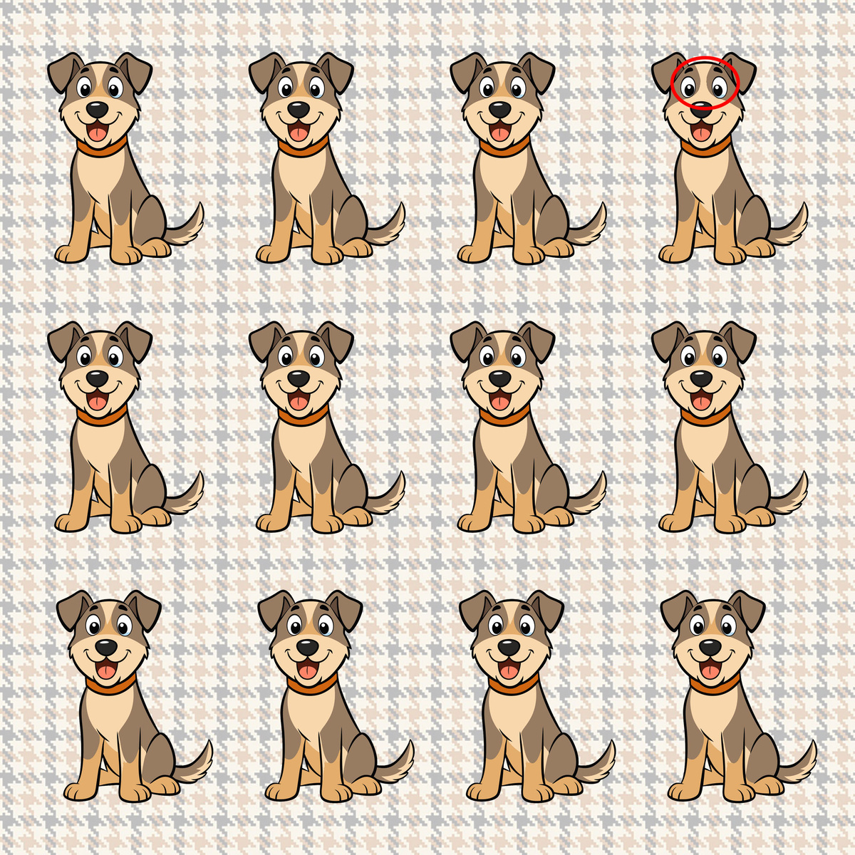 А вот и ответ!