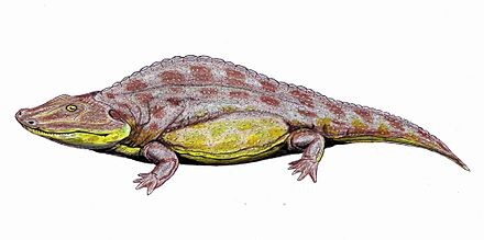 Склероторакс. Иллюстрация от Дмитрия Богданова.