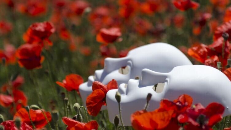     Фото: по лицензии CC0 Pxhere.com