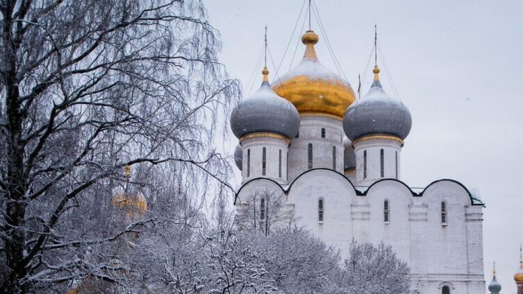     Фото: по лицензии CC0 Pxhere.com