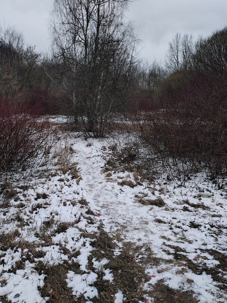 Прелестные февральские пейзажи 