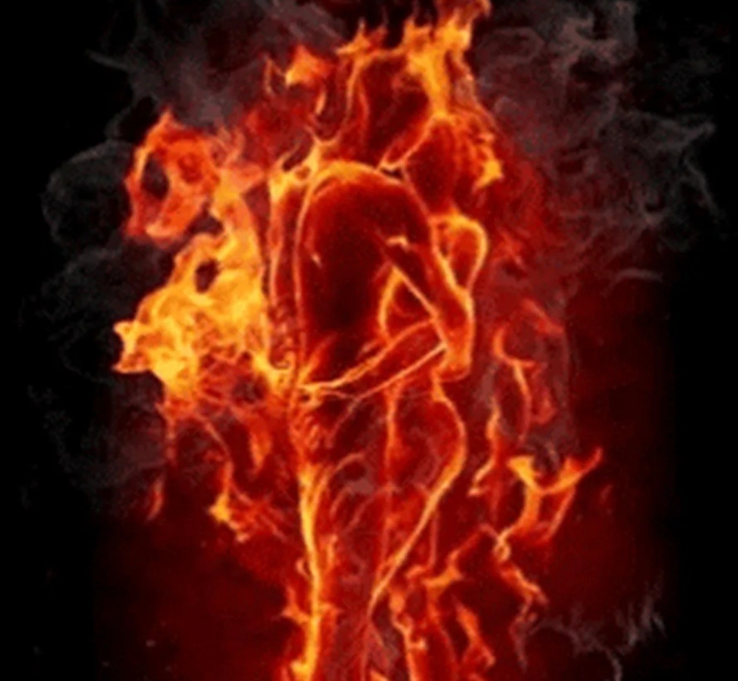 Фото взято из открытого источника