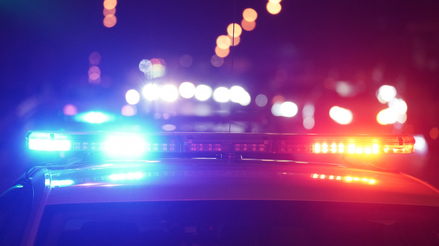    Фото: ИЗВЕСТИЯ/Эдуард Корниенко; 5-tv.ru