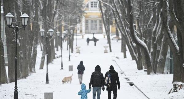    РИА «Новости»